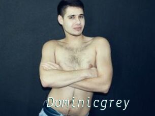 Dominicgrey