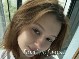 Dominofrost