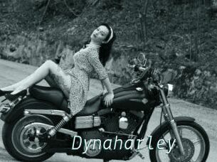 Dynaharley