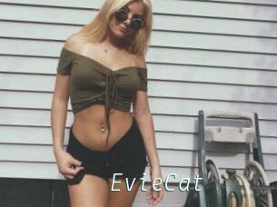 EvieCat