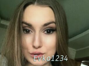 Evka1234