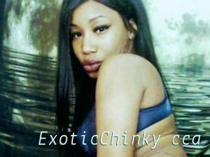 ExoticChinky_cca