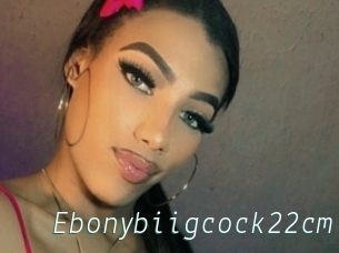 Ebonybiigcock22cm