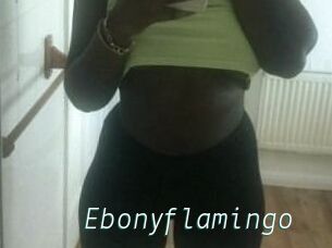 Ebony_flamingo