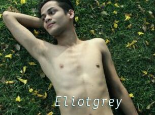 Eliotgrey