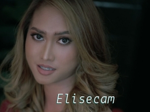 Elisecam