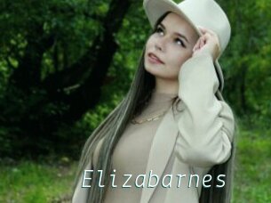 Elizabarnes