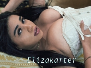 Elizakarter