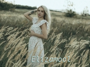 Elizamool