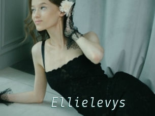 Ellielevys