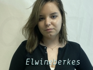 Elwineberkes