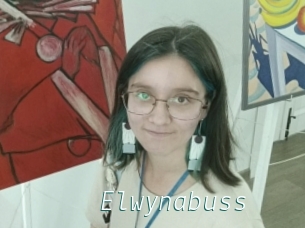 Elwynabuss