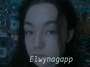 Elwynagapp