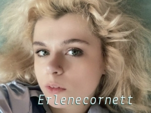 Erlenecornett