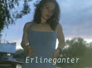 Erlineganter