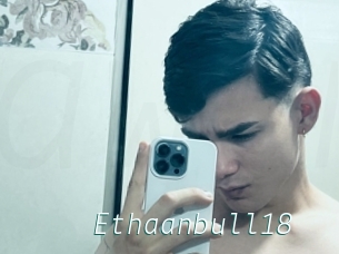 Ethaanbull18