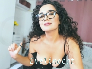 Evelinecat