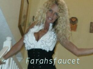 Farahsfaucet