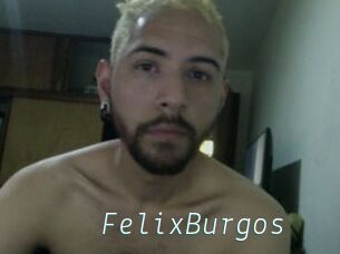 FelixBurgos