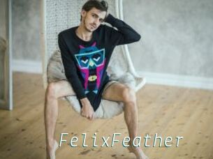 FelixFeather