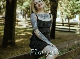 Flamygir