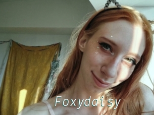 Foxydaisy