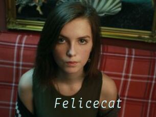 Felicecat