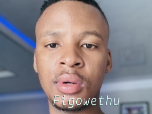 Figowethu