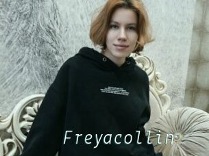 Freyacollin