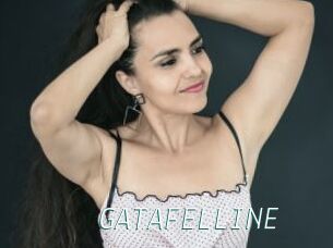 GATAFELLINE