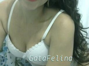 GataFelina