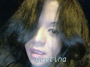 Gattina