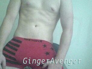 GingerAvenger