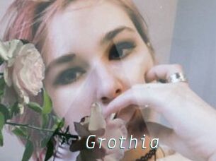 Grothia