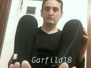 Garfild18