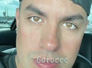 Gatoccc