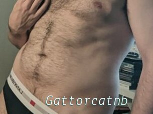 Gattorcatnb