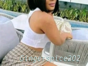 Gingerspice202