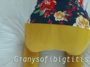 Granysofibigtitis