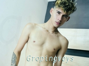 Gropingvoys