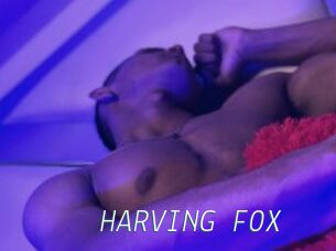 HARVING_FOX