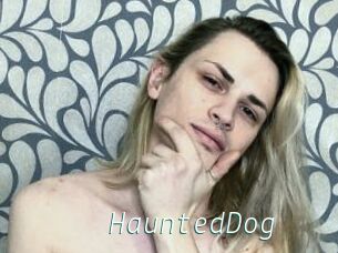 HauntedDog