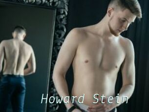 Howard_Stein