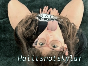 Haiitsnotskylar