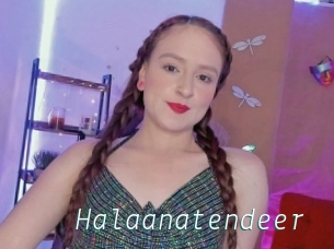 Halaanatendeer