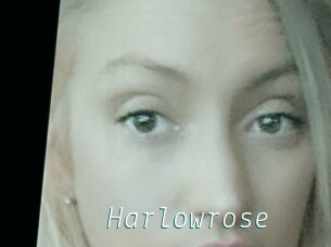 Harlowrose