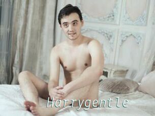 Harrygentle