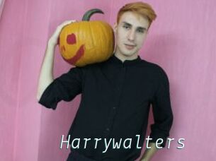 Harrywalters