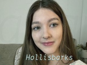 Hollisbarks