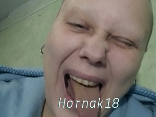 Hornak18